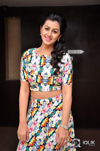 Nikki-Galrani-at-Krishnastami-Movie-Success-Meet